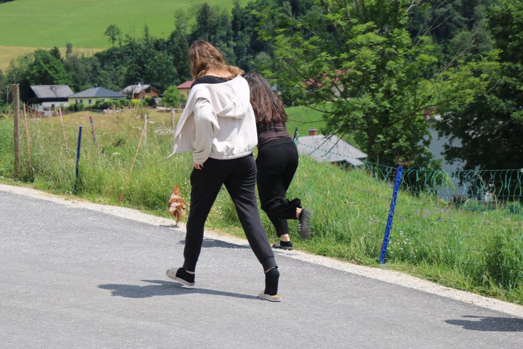 IMG_7482