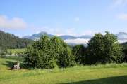 IMG_4019
